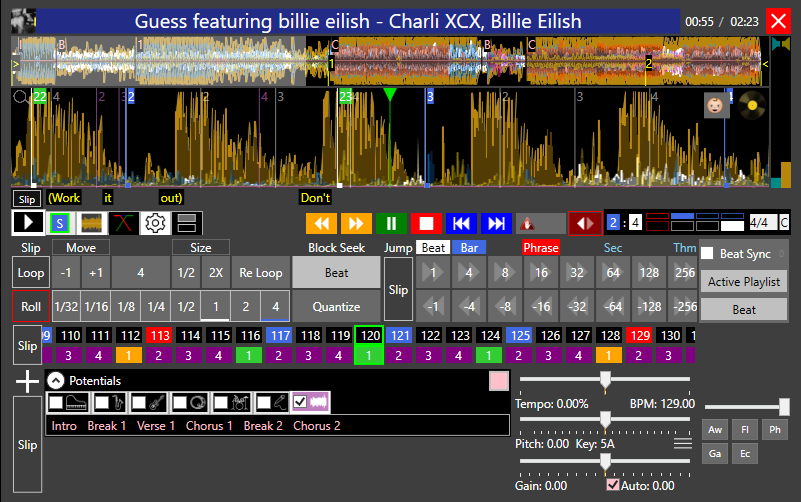 Professional DJ mixing with stems, hot cues, and slicers